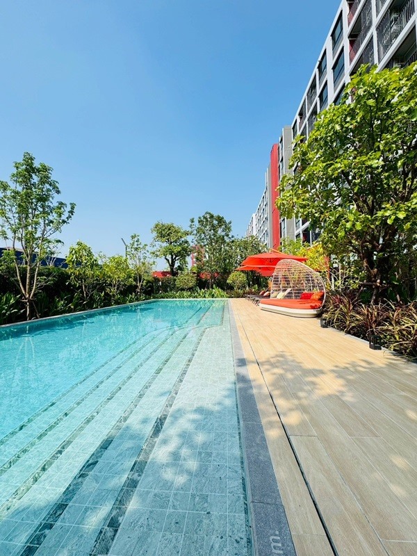ขายคอนโดใหม่ dcondo Vivid Rangsit ใกล้ ม.กรุงเทพ รังสิต ปทุมธานี พร้อมอยู่ โทร 0654496399